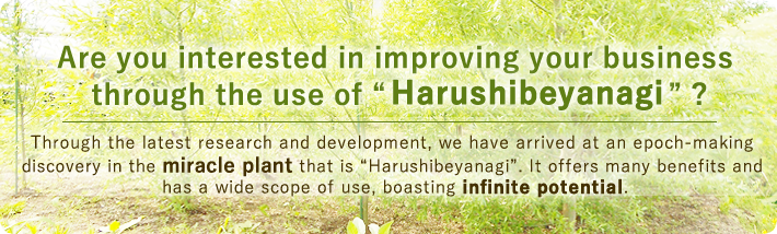 Are you interested in improving your business through the use of Harushibeyanagi ?
